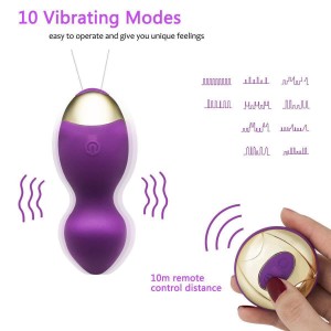 Women Wireless Remote 10 Speeds USB Rechargeable Egg Vibrator