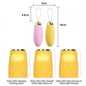 Remote Control G-Spot Stimulation Clitoral Egg Vibrator