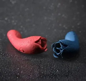 Rechargeable Rose Clitoris Nipple Licker 2 in 1 Clitoral G Spot Dildo Vibrator