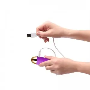 Wireless Remote Control Waterproof Vibrating Love Egg