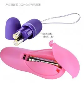 Remote Control Wireless G Spot Clitoris Love Egg Vibrator