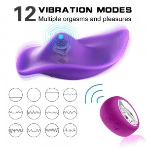 Wearable Panty Wireless Remote Control Clitoral Stimulator Vibrator